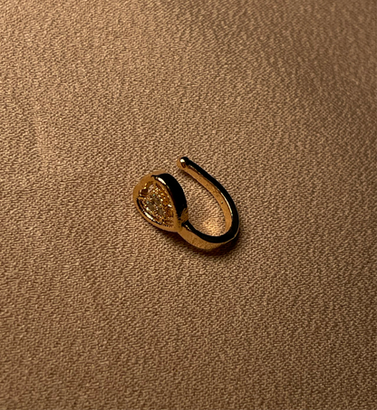 ✨Clip On Nose Pins✨