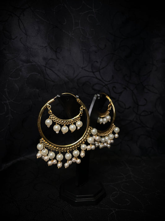 ✨Double Hoops✨